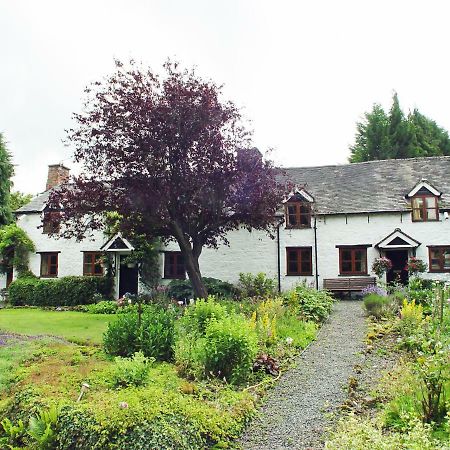 Glencoed B&B Wrexham Zewnętrze zdjęcie
