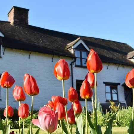 Glencoed B&B Wrexham Zewnętrze zdjęcie