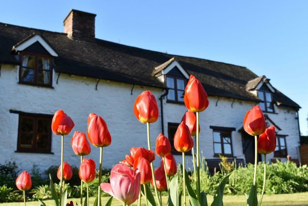 Glencoed B&B Wrexham Zewnętrze zdjęcie
